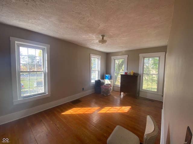 unfurnished office featuring a wealth of natural light, hardwood / wood-style floors, and a textured ceiling