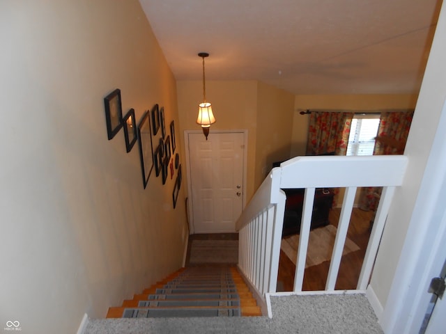 stairway with carpet floors