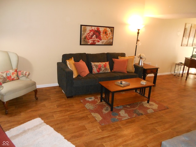 living room with hardwood / wood-style floors