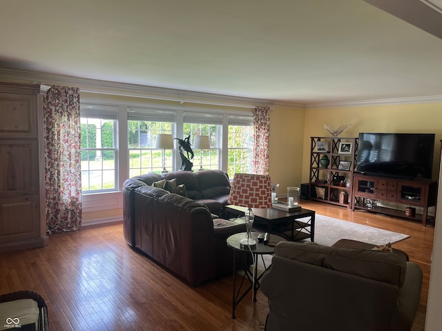 living room featuring ornamental molding and wood-type flooring