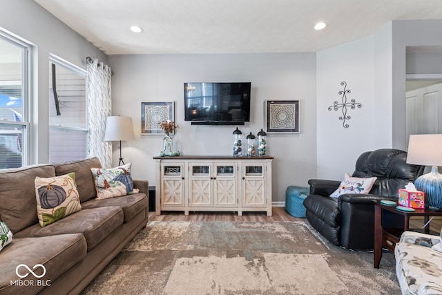 living room featuring hardwood / wood-style floors