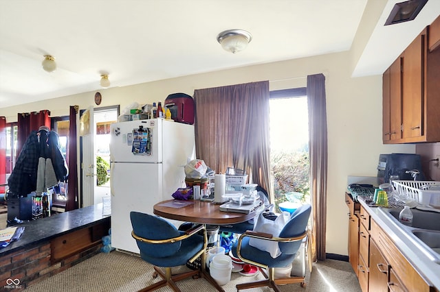 kitchen with light colored carpet, white fridge, a wealth of natural light, and sink