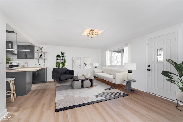 living room with light wood-type flooring