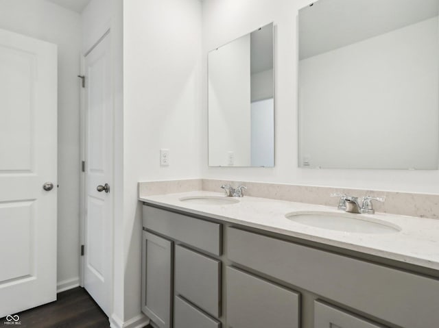 full bathroom with wood finished floors, a sink, and double vanity