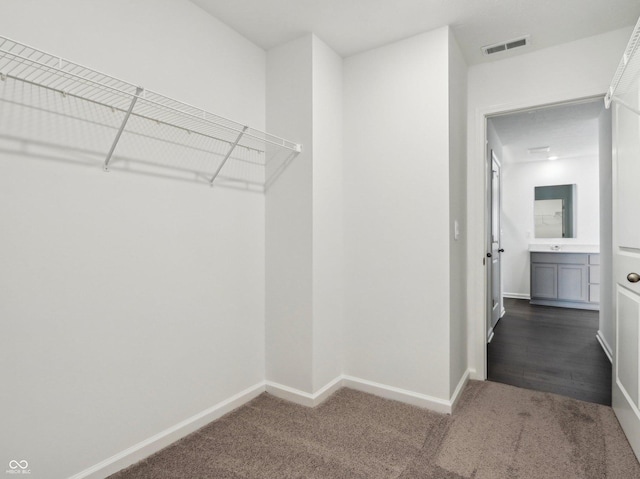 walk in closet featuring visible vents and dark colored carpet