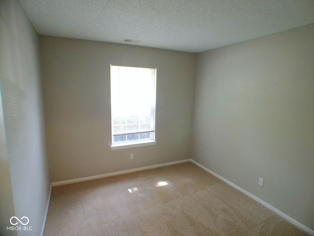 unfurnished room with light colored carpet and a textured ceiling