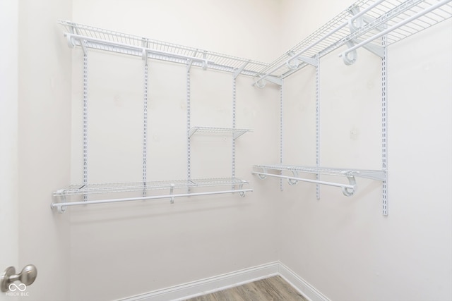 spacious closet with wood-type flooring