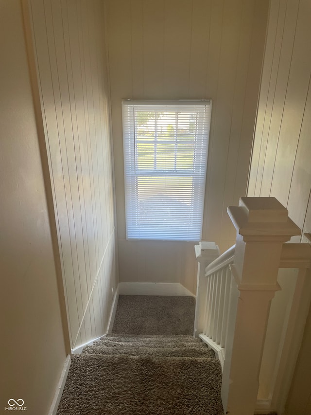 stairway featuring wood walls and carpet flooring