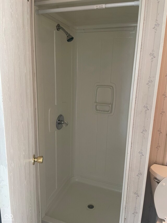 bathroom with a shower and toilet