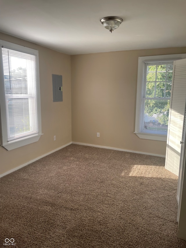 unfurnished room featuring electric panel and carpet flooring