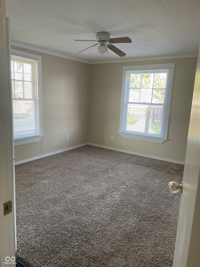 empty room featuring ornamental molding, carpet, and ceiling fan