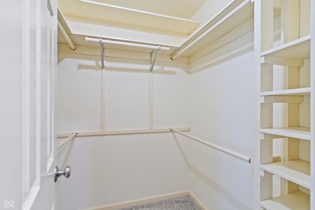 spacious closet featuring carpet floors