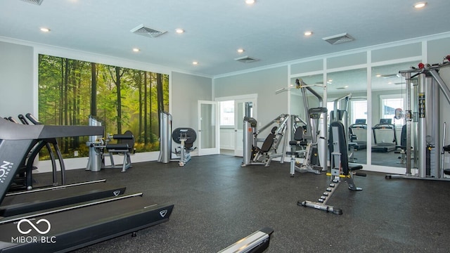 exercise room featuring ornamental molding and a healthy amount of sunlight