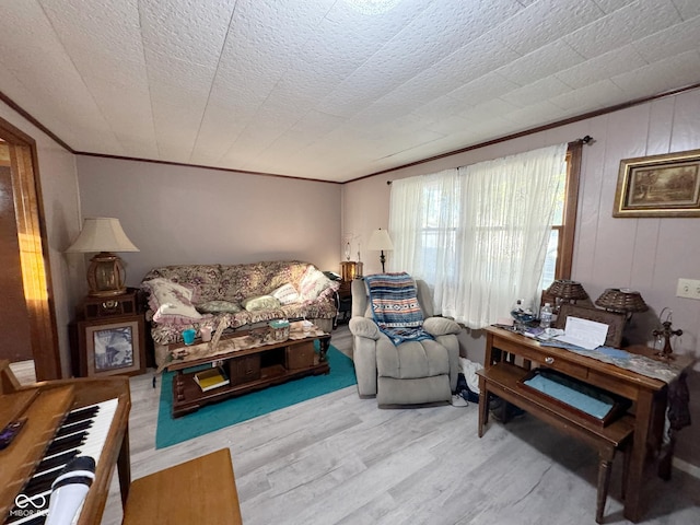 living room with light hardwood / wood-style flooring and a textured ceiling