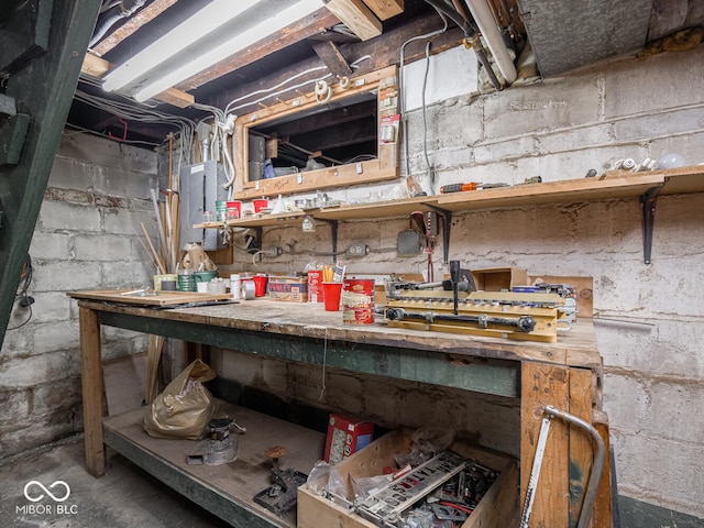 basement featuring a workshop area and electric panel