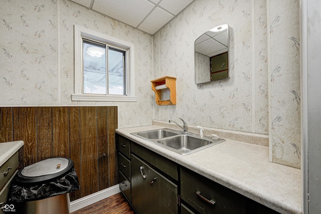 bathroom featuring a paneled ceiling, wood walls, hardwood / wood-style floors, and vanity