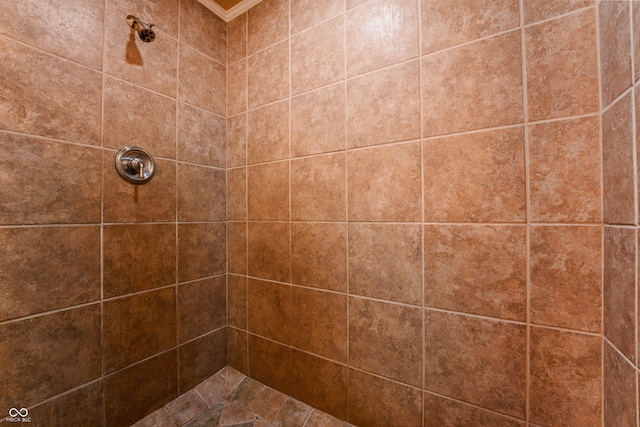 bathroom with tiled shower