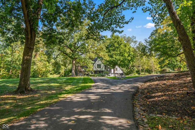 view of road featuring aphalt driveway