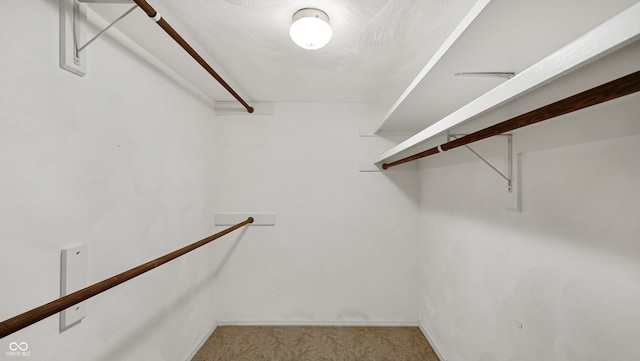 spacious closet featuring light colored carpet