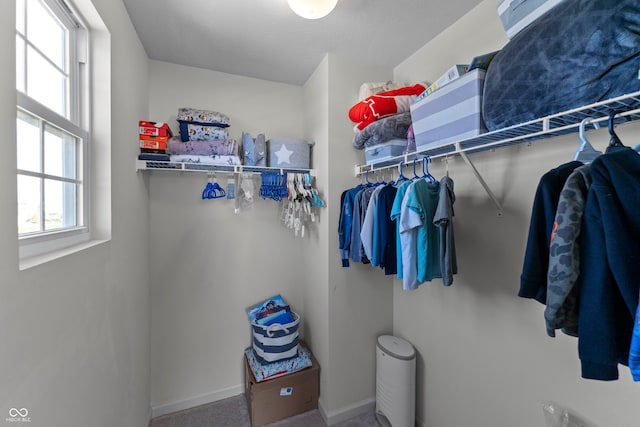 walk in closet with carpet floors