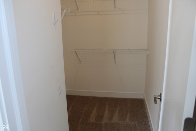 spacious closet featuring carpet