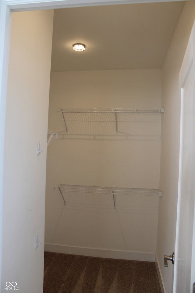 walk in closet featuring dark colored carpet