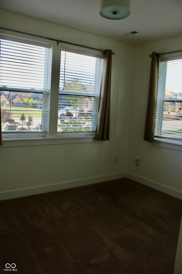 carpeted empty room featuring a wealth of natural light