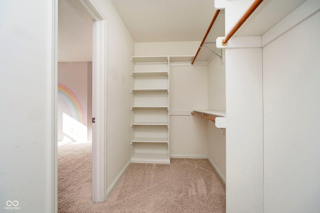 walk in closet featuring light carpet