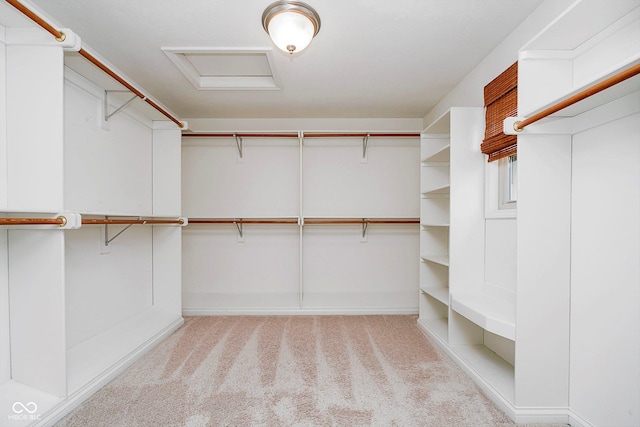 spacious closet with light carpet