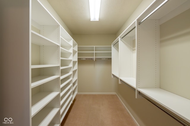 walk in closet with carpet floors