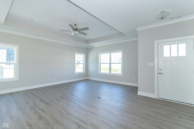 foyer entrance featuring a raised ceiling, ceiling fan, hardwood / wood-style floors, and ornamental molding