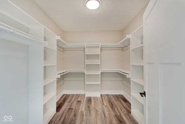 spacious closet featuring hardwood / wood-style flooring