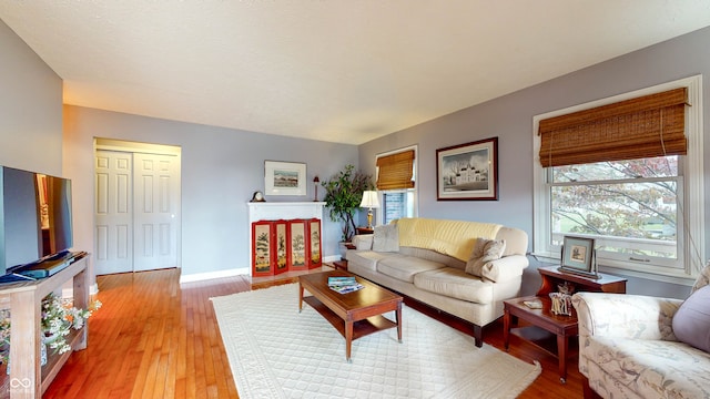 living room with light hardwood / wood-style flooring