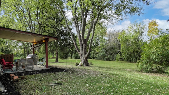 view of yard with a patio area