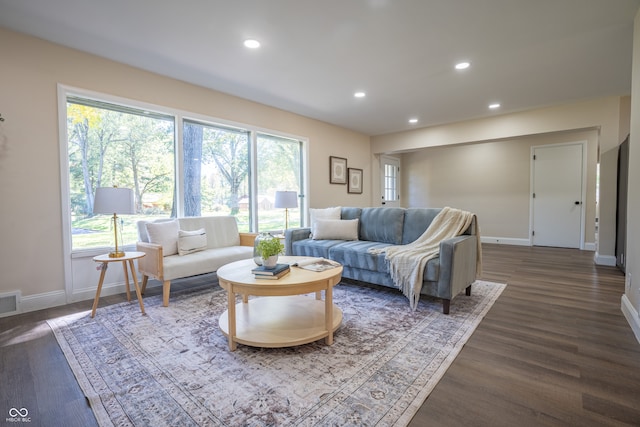 living room featuring a wealth of natural light and dark wood-type flooring