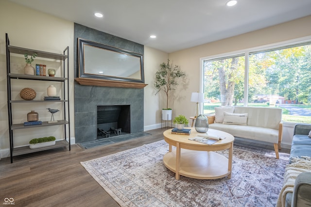 living room featuring a tiled fireplace and hardwood / wood-style flooring