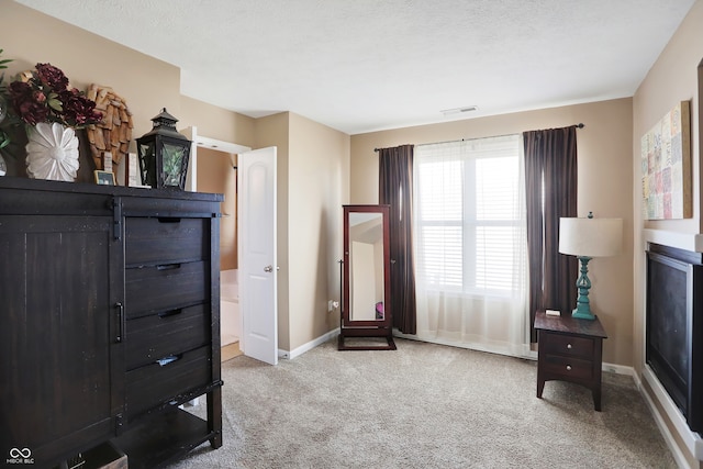 sitting room with a textured ceiling and light colored carpet