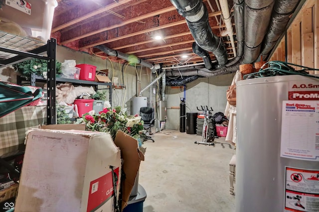 basement with gas water heater