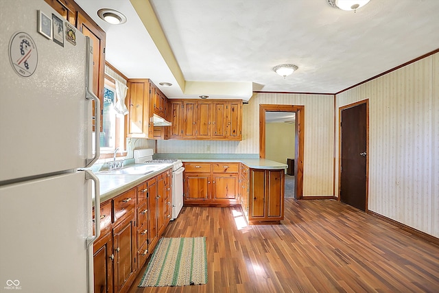 kitchen with hardwood / wood-style flooring, sink, white appliances, and range hood