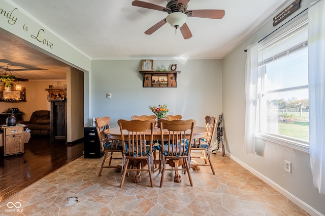 dining room with light wood-type flooring, crown molding, and plenty of natural light