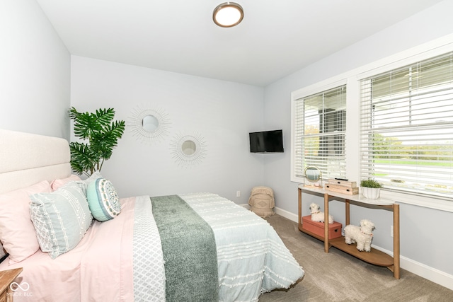 bedroom featuring carpet