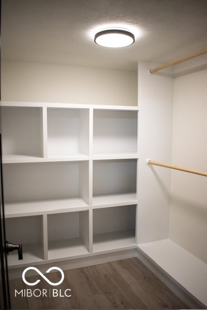 spacious closet featuring wood-type flooring