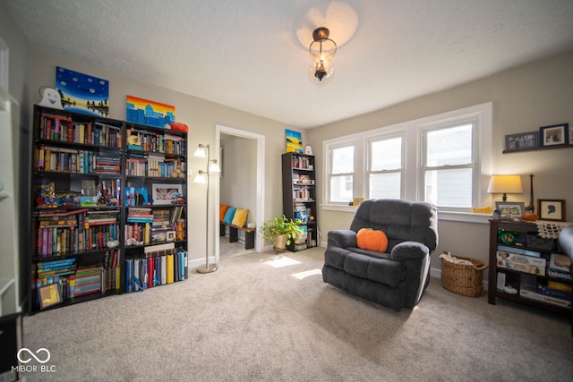 living area with carpet and a textured ceiling