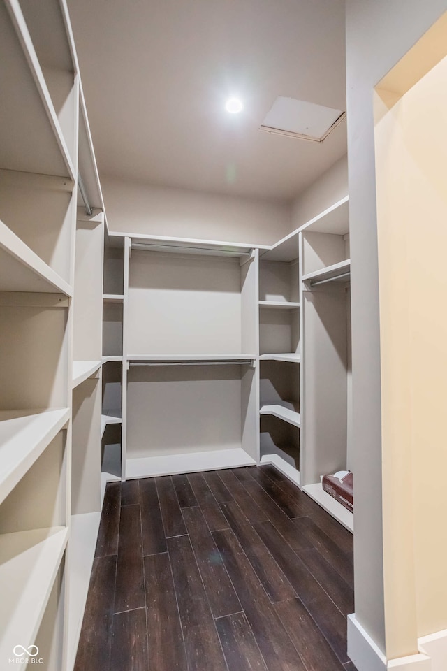 walk in closet with dark hardwood / wood-style floors