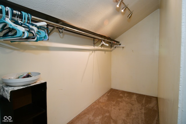 spacious closet featuring carpet flooring