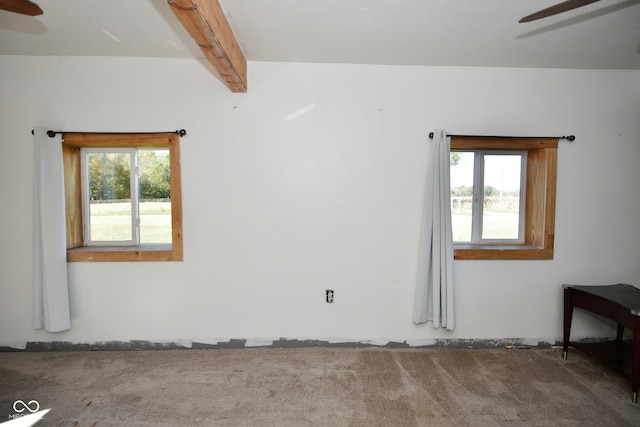 empty room featuring beam ceiling, carpet, and a wealth of natural light