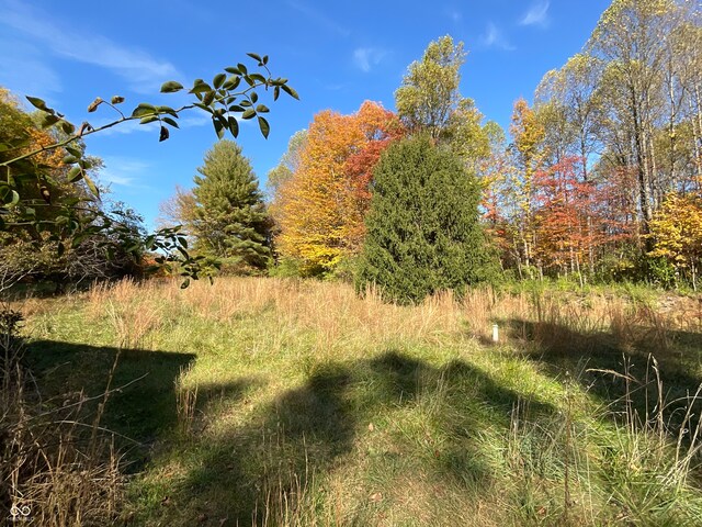 view of landscape