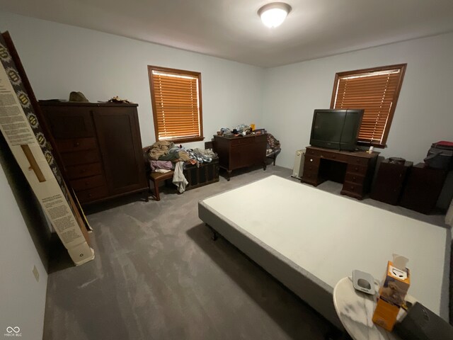 bedroom with carpet flooring