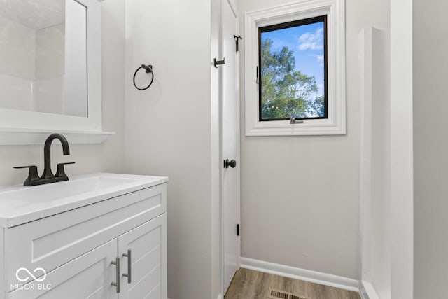 bathroom with vanity and wood-type flooring