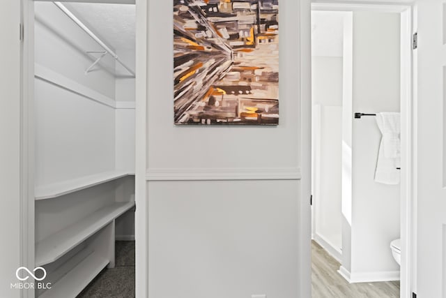 walk in closet featuring wood-type flooring